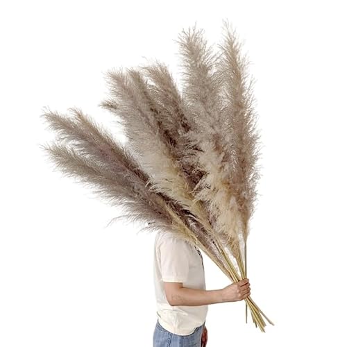 Pampasgras Deko 120 cm, 10 Stück Pampasgras, hohes Dekor, getrocknetes großes Pompasgras, for Zuhause, Zimmer, Bodenvase, , Hochzeitsarrangement(Natural) von GFDSGRE