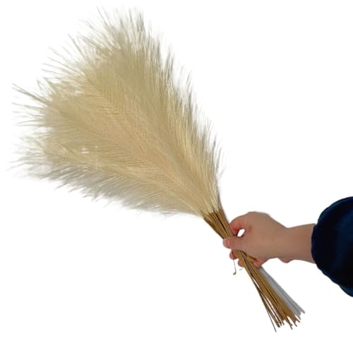 Pampasgras Deko 5/10/20Pcs Künstliche Pampas Gras Bouquet Urlaub Hochzeit Party Dekoration Pflanze Simulierte DIY Gefälschte Blume Reed Decor(Beige,15PCS) von GFDSGRE