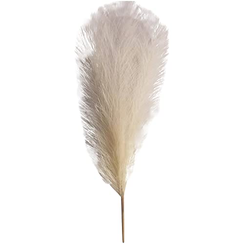 Pampasgras Deko 50cm Pampas Secas Gras Dekor Kunstrasen Gefälschte Blume Hochzeit Home Schlafzimmer Wohnzimmer(Beige) von GFDSGRE