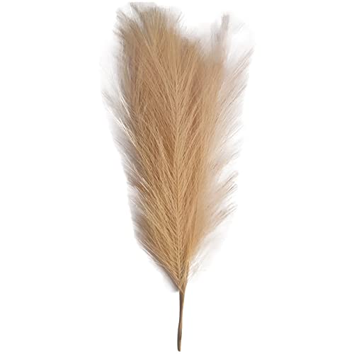 Pampasgras Deko 50cm Pampas Secas Gras Dekor Kunstrasen Gefälschte Blume Hochzeit Home Schlafzimmer Wohnzimmer(Light Brown) von GFDSGRE