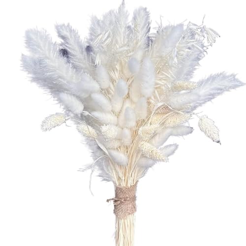 Pampasgras Deko 80 Stück weißer Pampasgras-Dekor-Trockenblumenstrauß, Wohndekor-Strauß, natürliche Phragmites-Blume for Hochzeitsfeier-Arrangement(C) von GFDSGRE