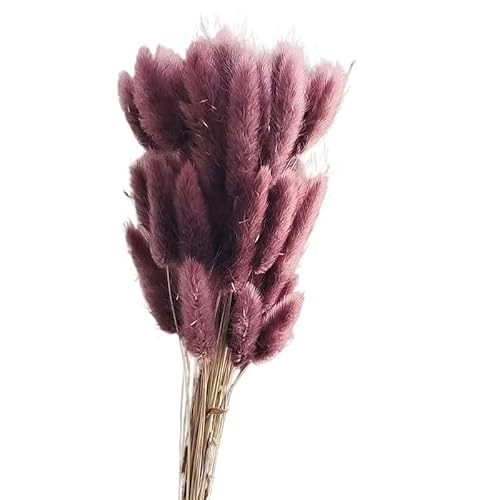 Pampasgras Deko Flauschige getrocknete Blumen Kaninchen Hasenschwänze Home Hochzeit Tischdekoration natürliches Pampasgras Weihnachtsdekor Zubehör(Taro Purple,120PCS) von GFDSGRE