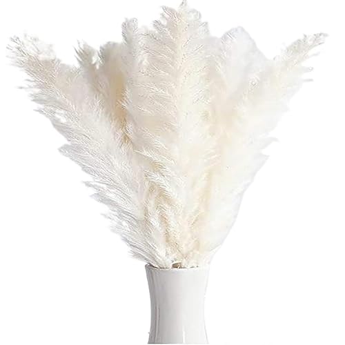 Pampasgras Deko Getrockneter Pampasgras-Bouquet, Tischdekoration, Hasenschwänze, trockene Blumen, Pompas for Hochzeit, Home-Party, Outdoor, Kunstblumen, Dekoration(15pcs-01) von GFDSGRE