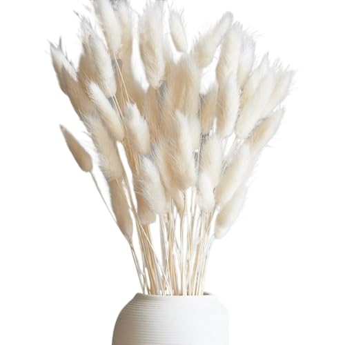 Pampasgras Deko Getrockneter Pampasgras-Bouquet, Tischdekoration, Hasenschwänze, trockene Blumen, Pompas for Hochzeit, Home-Party, Outdoor, Kunstblumen, Dekoration(30pcs-03) von GFDSGRE