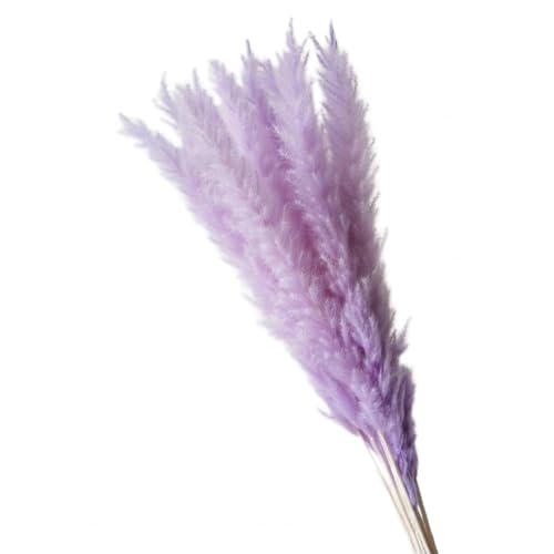 Pampasgras Deko Künstliches Pampasgras, dekoratives getrocknetes Gras, realistisches künstliches for die Hochzeitsdekoration zu Hause(Light Purple) von GFDSGRE