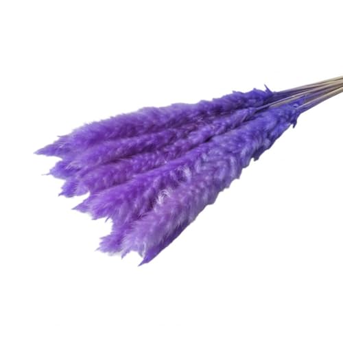 Pampasgras Deko Künstliches Pampasgras, dekoratives getrocknetes Gras, realistisches künstliches for die Hochzeitsdekoration zu Hause(Purple) von GFDSGRE