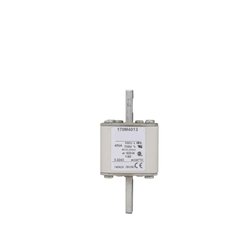 170M5238 170M5237 170M5218 170M5239 Fuse(170M5238) von GFGWXMQB