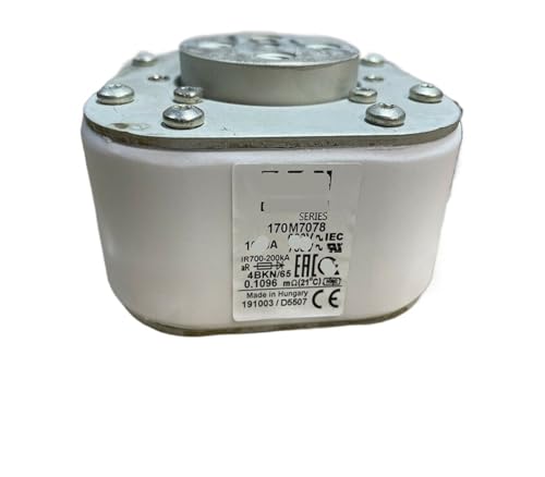 170M7078 170M7079 170M7080 170M7081 170M7082 Sicherung(170m7079) von GFGWXMQB