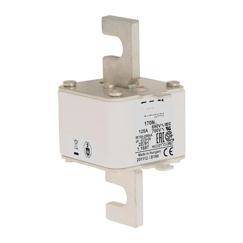 690-V-Sicherung 170M6321 Sicherung 170M6321 von GFGWXMQB