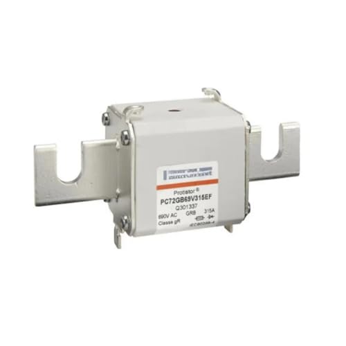 PC72GB69V200EF N301335 PC72GB69V250EF P301336 PC72GB69V315EF Q301337 PC72GB69V350EF PC72GB69V400EF Sicherung(PC72GB69V315EF) von GFGWXMQB