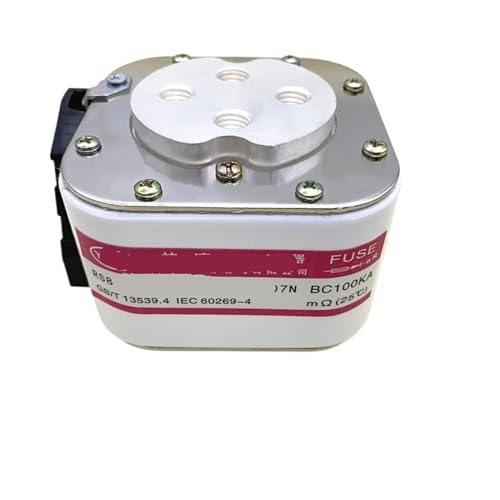 RS8 P1b206S 1000V Schnelle Sicherung 4000A von GFGWXMQB
