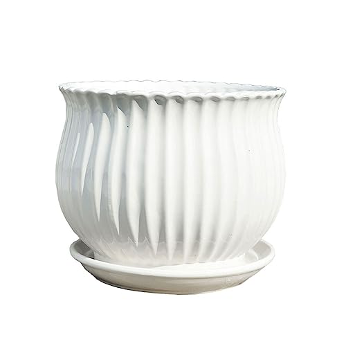 GFHTRELY Blumentopf, Keramik, Weiß, mit Tablett, Couchtisch, Büro, dekorativer Blumentopf, Tischdekoration, chinesischer Blumentopf, Blumentöpfe (C) von GFHTRELY