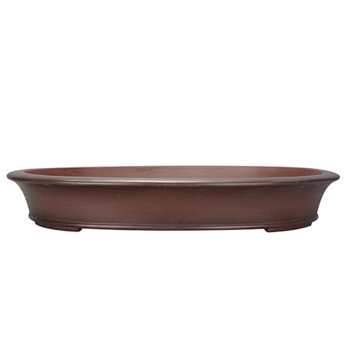 GFHTRELY Blumentopf, groß, oval, aus violettem Ton, handgefertigt, Dschungel-Stil, flach, für Terrasse, Büro, Gartenarbeit, atmungsaktive Blumentöpfe GFHTRELY Blumentopf, groß, oval, aus violettem Ton, handgefertigt, Dschungel-Stil, flach, für Terrasse, Büro, Gartenarbeit, atmungsaktive Blumentöpfe von GFHTRELY