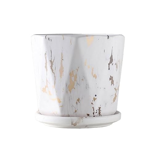 GFHTRELY Blumentopf Keramik Blumentöpfe Home Interior Office Dekorative Pflanzgefäße für Blumentöpfe mit Tabletts 4,72/6,10/7,67 Zoll Blumentöpfe (C,M) von GFHTRELY