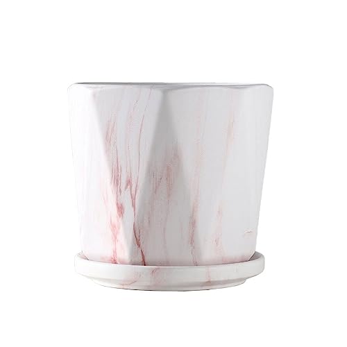 GFHTRELY Blumentopf Keramik Blumentopf Home Interior Office Dekorative Pflanzgefäße für Blumentöpfe mit Tabletts 4,72/6,10/7,67 Zoll Blumentöpfe (B,L) von GFHTRELY