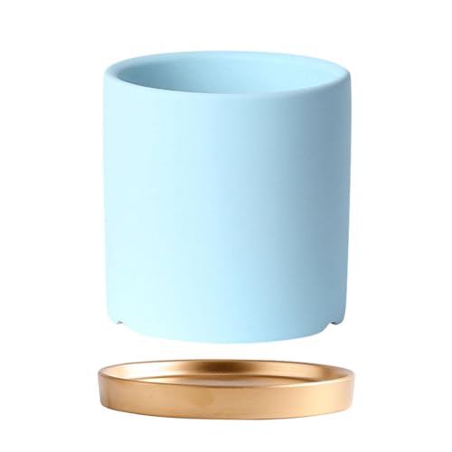 GFHTRELY Blumentopf Leichte Luxusblumentöpfe, Schreibtisch-Blumentöpfe, einfache moderne Blumenvasen mit Drainagelöchern Blumentöpfe (A,M) von GFHTRELY