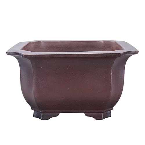 GFHTRELY Blumenvase Atmungsaktive Bonsai-Topf Antik Lila Ton quadratisch 30 cm handgemachte Eckenschnitt Blumentöpfe GFHTRELY Blumenvase Atmungsaktive Bonsai-Topf Antik Lila Ton quadratisch 30 cm handgemachte Eckenschnitt Blumentöpfe von GFHTRELY