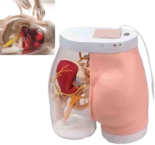 GFLCWYP Advanced Hip Injection Training Model,Halbtransparentes Buttock Muscle Injection Practice Model,Intramuskulärer Injektionssimulator mit Licht Sound Prompt,für Schulen,Krankenhäuser von GFLCWYP