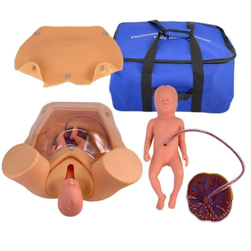 GFLCWYP Fortgeschrittene Geburt umfassende Fähigkeiten Training Modell, schwangere Frau Geburt Modell, weibliche vaginale Lieferung Simulation menschlichen Körper Modell von GFLCWYP