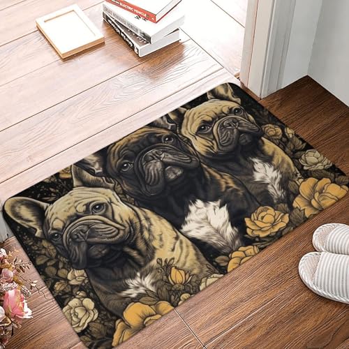 Fußmatte 40,6 x 61 cm, rutschfeste Haustürmatten für den Außenbereich, drei französische Bulldoggen, Fußmatte für Badezimmer, Eingangsbereich, maschinenwaschbar, Bodenmatte für Terrasse, Treppe, Flur Fußmatte 40,6 x 61 cm, rutschfeste Haustürmatten für den Außenbereich, drei französische Bulldoggen, Fußmatte für Badezimmer, Eingangsbereich, maschinenwaschbar, Bodenmatte für Terrasse, Treppe, Flur von GFLFMXZW
