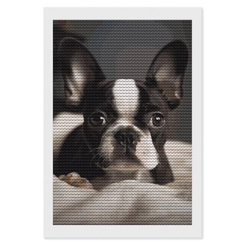 GFLFMXZW Niedliches Boston-Terrier-Diamant-Malset für Erwachsene, Vollbohrer, Diamant-Punkte, Gemälde, rund, 5D-Gemälde mit Diamanten, Bilder, Kunstmalerei-Kits, DIY-Handwerk für Zuhause, Wandkunst, GFLFMXZW Niedliches Boston-Terrier-Diamant-Malset für Erwachsene, Vollbohrer, Diamant-Punkte, Gemälde, rund, 5D-Gemälde mit Diamanten, Bilder, Kunstmalerei-Kits, DIY-Handwerk für Zuhause, Wandkunst, von GFLFMXZW