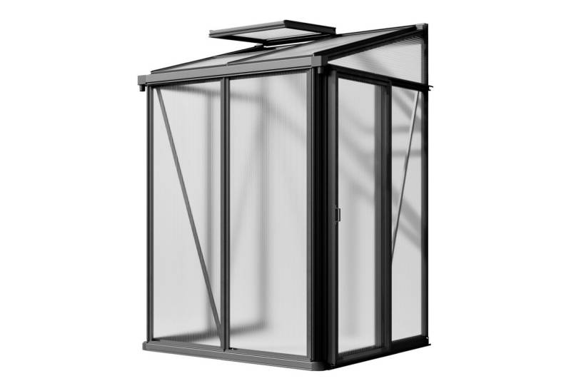 GFP Gewächshaus Anlehngewächshaus Flora 22 anthrazit, 16 mm Wandstärke, Seitenhöhe 175 cm von GFP