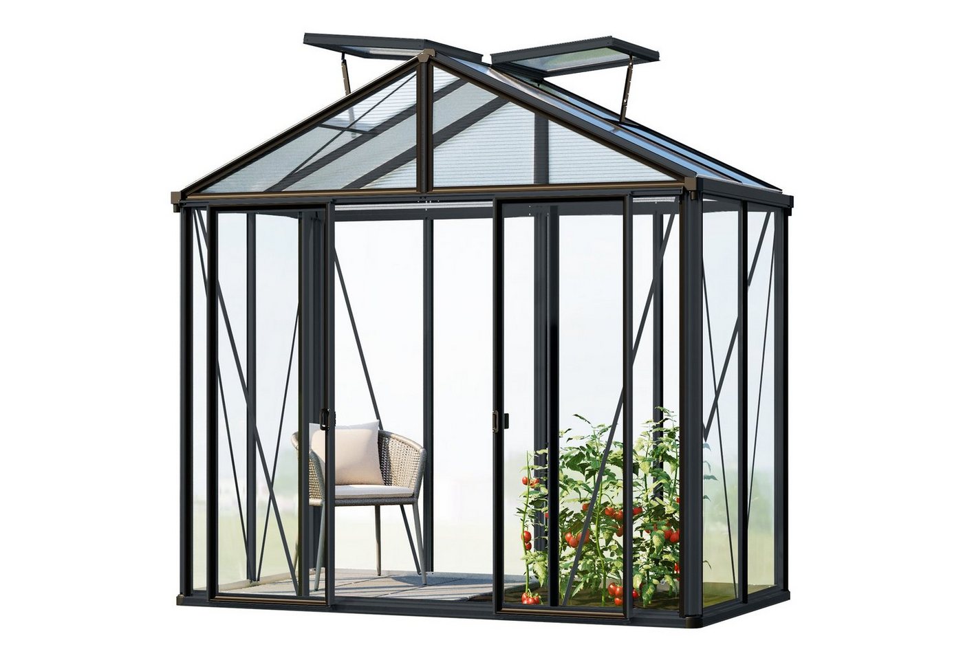 GFP Gewächshaus Glasgewächshaus Hera 2 anthrazit GFP Gewächshaus Glasgewächshaus Hera 2 anthrazit von GFP