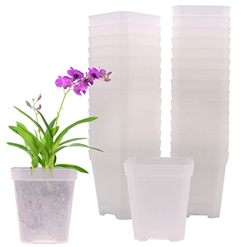 GGOUPTY Quadratische Pflanzentöpfe Aus Kunststoff Klar 30 Stück 7 cm Durchsichtige Plastik Vierkanttöpfe Pflanztopf Blumentöpfe Baumschule Töpfe für Blumen Gemüse Succulent von GGOUPTY