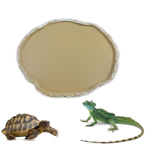 GGUFAY Haustiere Fütterung Platte Reptil Fütterung Schüssel Vivarium Lebensmittel Wasser Dish Harz Schüssel für Schildkröte Gecko Schlange Haustier Zucht Tray von GGUFAY