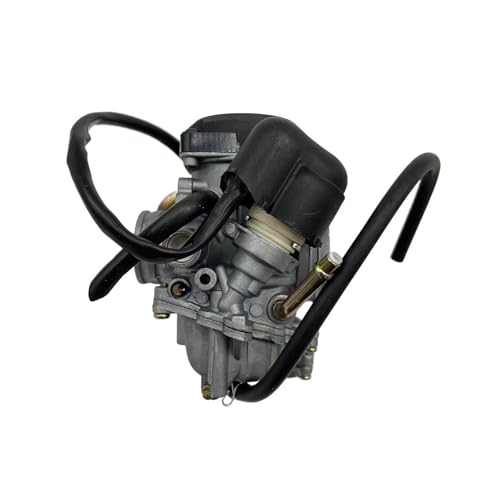 Motorvergaser Motorrad Vergaser Für Aprilia Für Mojito Für Piaggio Für Zip Für Liberty Für Vespa LX 125 150 200 CKV26 26mm Motorvergaser Motorrad Vergaser Für Aprilia Für Mojito Für Piaggio Für Zip Für Liberty Für Vespa LX 125 150 200 CKV26 26mm von GHAEKEBC