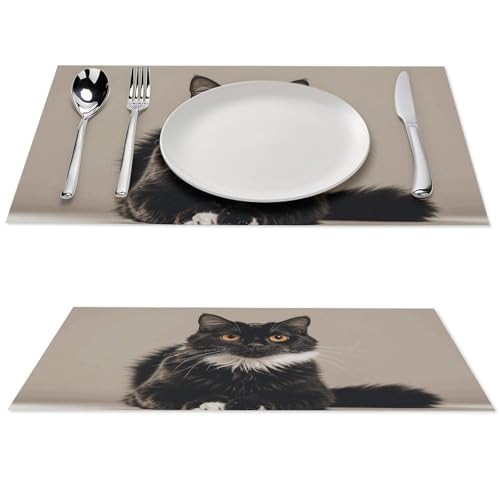 Tischsets 6er Set Tischset Schwarze Katze mit Weiß rutschfest Hitzebeständig Platzsets für Küchentisch Innen/Außen Abwaschbar Platzset Abwischbar Esstisch Matten von GHBNK