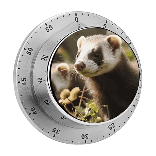 Frettchen-Küchentimer, manuelle 60-Minuten-Aufzieh-Timer mit lautem Alarm, magnetische Rückseite, mechanische Küchentimer, keine Batterien erforderlich, Countdown-Timer zum Kochen und Backen von GHENBLT
