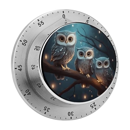 Küchentimer Eule auf Baum, manuelle 60-Minuten-Aufzieh-Timer mit lautem Alarm, magnetische Rückseite, mechanische Küchentimer, keine Batterien erforderlich, Countdown-Timer zum Kochen und Backen von GHENBLT