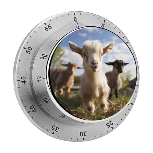 Niedliche Ziegen-Küchentimer, manuelle 60-Minuten-Aufzieh-Timer mit lautem Alarm, magnetische Rückseite, mechanische Küchentimer, keine Batterien erforderlich, Countdown-Timer zum Kochen und Backen von GHENBLT