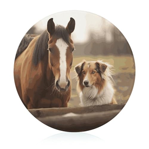 Schneidebrett aus gehärtetem Collie-Glas, 20,3 x 20,3 cm, mit Gummifüßen, rutschfestes und hitzebeständiges Obstschneidebrett, kleines Schneidebrett, Geschenk für Küche/Bar/Camping/Hochzeit/Wohnmobil Schneidebrett aus gehärtetem Collie-Glas, 20,3 x 20,3 cm, mit Gummifüßen, rutschfestes und hitzebeständiges Obstschneidebrett, kleines Schneidebrett, Geschenk für Küche/Bar/Camping/Hochzeit/Wohnmobil von GHENBLT