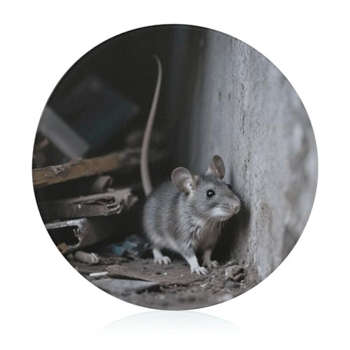 Schneidebrett aus gehärtetem Glas, 20,3 x 20,3 cm, mit Gummifüßen, rutschfestes und hitzebeständiges Obstschneidebrett, kleine Schneidebretter, Geschenk für Küche/Bar/Camping/Hochzeit/Wohnmobil/Reisen Schneidebrett aus gehärtetem Glas, 20,3 x 20,3 cm, mit Gummifüßen, rutschfestes und hitzebeständiges Obstschneidebrett, kleine Schneidebretter, Geschenk für Küche/Bar/Camping/Hochzeit/Wohnmobil/Reisen von GHENBLT