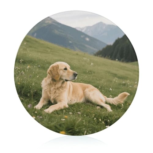 Schneidebrett aus gehärtetem Glas mit Hund auf der Prärie, 20,3 x 20,3 cm, mit Gummifüßen, rutschfestes und hitzebeständiges Obstschneidebrett, kleine Schneidebretter, Geschenk für Küche/Bar/Camping Schneidebrett aus gehärtetem Glas mit Hund auf der Prärie, 20,3 x 20,3 cm, mit Gummifüßen, rutschfestes und hitzebeständiges Obstschneidebrett, kleine Schneidebretter, Geschenk für Küche/Bar/Camping von GHENBLT
