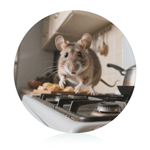 Schneidebrett aus gehärtetem Glas mit Maus auf dem Herd, 20,3 x 20,3 cm, mit Gummifüßen, rutschfeste und hitzebeständige Obstschneidebretter, kleine Schneidebretter, Geschenk für Küche/Bar/Camping Schneidebrett aus gehärtetem Glas mit Maus auf dem Herd, 20,3 x 20,3 cm, mit Gummifüßen, rutschfeste und hitzebeständige Obstschneidebretter, kleine Schneidebretter, Geschenk für Küche/Bar/Camping von GHENBLT