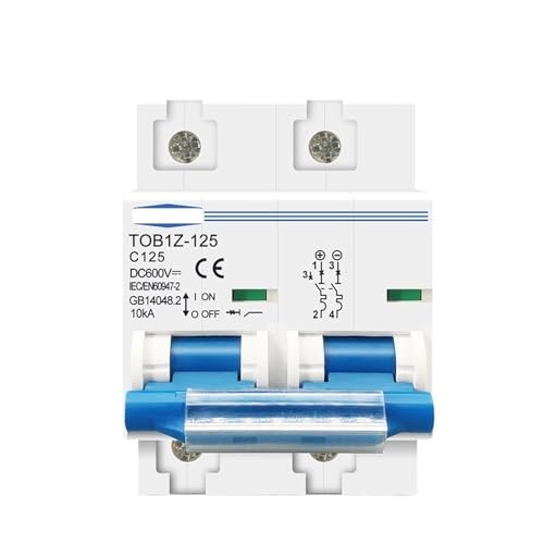 2P DC MCB 600V 125A 100A 80A Circuit breaker for PV System C kurve Batterie Haupt Schalter(80A) von GHOUNP