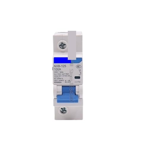NXB-125 1P 63A 80A 100A 125A 230V 220V 50HZ Leitungsschutzschalter MCB DZ47(100A) von GHOUNP