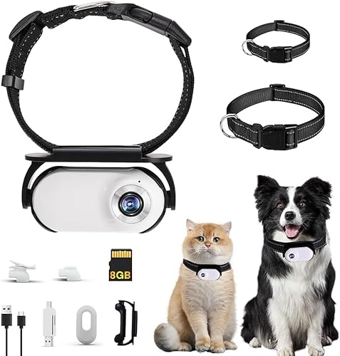 GHWMYD 8G Weiße Katzen Kamera Halsband Haustierkamera mit Kameraklemmen für Hunde und Katzen GHWMYD 8G Weiße Katzen Kamera Halsband Haustierkamera mit Kameraklemmen für Hunde und Katzen von GHWMYD