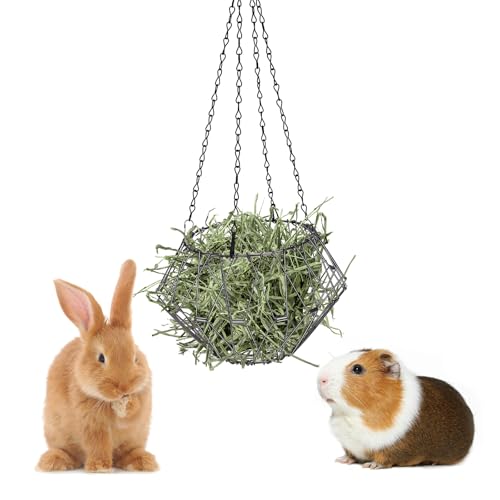 GHWMYD Kaninchen Heuraufe, Hasen Futterstation, Meerschweinchen Spielzeug Zubehoer, Metall Food Ball für Chinchilla Outdoor, Futterkorb für Gemüse und Obst mit 4 Hängeketten von GHWMYD
