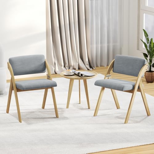 GIANTEX Klappbare Esszimmerstühle, 2er Gepolsterte Küchenstühle mit Rücklehne, platzsparend & Keine Montage, Klappstühle Holz bis 181kg (Grau) von GIANTEX