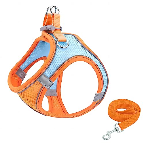 GIAPINST Hundegeschirr kleine Hunde, No Pull Hundegeschirr, Verstellbares Haustier Sicherheitsgeschirr mit Atmungsaktivem Mesh und Reflektierendem Streifen für mittelgroße Hunde (XS, Orange und Blau) von GIAPINST