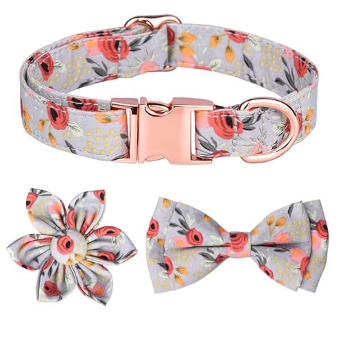 GIBZ Hundehalsband Verstellbare, mit Abnehmbarer Fliege Blumen Set, Weich Halsband für Große, Mittelgroße und Kleine Hunde, Grün-C, S von GIBZ