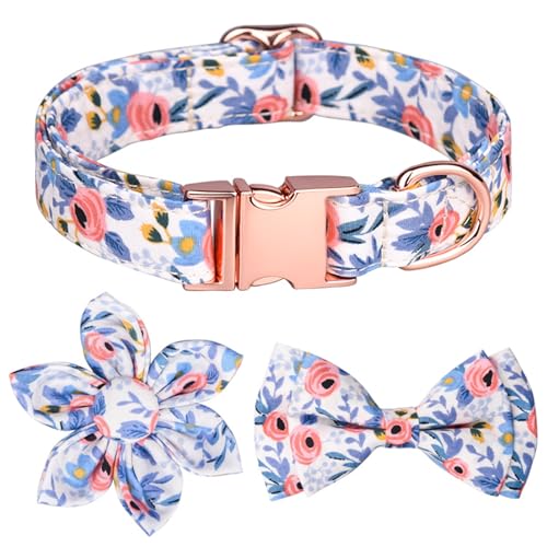 GIBZ Hundehalsband Verstellbare, mit Abnehmbarer Fliege Blumen Set, Weich Halsband für Große, Mittelgroße und Kleine Hunde, Orange-C, L von GIBZ