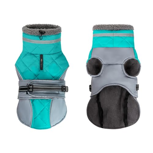 GIBZ Hundemantel Winter Outdoor, Winddicht Wasserdicht Jacke mit Reflektierendem Geschirr, Warme Fleece Kleidung für Hunde, Blau, 2XL GIBZ Hundemantel Winter Outdoor, Winddicht Wasserdicht Jacke mit Reflektierendem Geschirr, Warme Fleece Kleidung für Hunde, Blau, 2XL von GIBZ