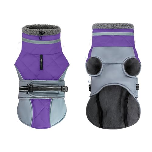 GIBZ Hundemantel Winter Outdoor, Winddicht Wasserdicht Jacke mit Reflektierendem Geschirr, Warme Fleece Kleidung für Hunde, Lila, XL GIBZ Hundemantel Winter Outdoor, Winddicht Wasserdicht Jacke mit Reflektierendem Geschirr, Warme Fleece Kleidung für Hunde, Lila, XL von GIBZ