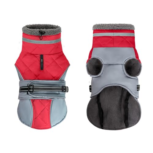 GIBZ Hundemantel Winter Outdoor, Winddicht Wasserdicht Jacke mit Reflektierendem Geschirr, Warme Fleece Kleidung für Hunde, Rot, L GIBZ Hundemantel Winter Outdoor, Winddicht Wasserdicht Jacke mit Reflektierendem Geschirr, Warme Fleece Kleidung für Hunde, Rot, L von GIBZ