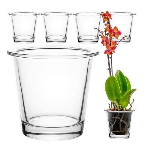GIESSLE® 6 Stück Orchideentopf [ aus Glas ] Blumentopf Orchideenvase Orchideenglas Übertopf für Orchideen transparent von GIESSLE